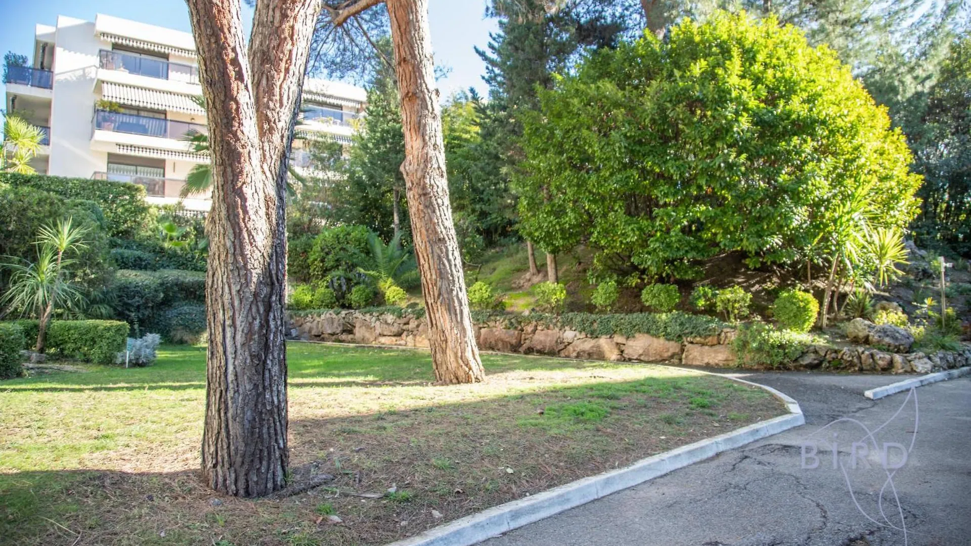 Superb Apartment With Pool Tennis & Parking Cannes