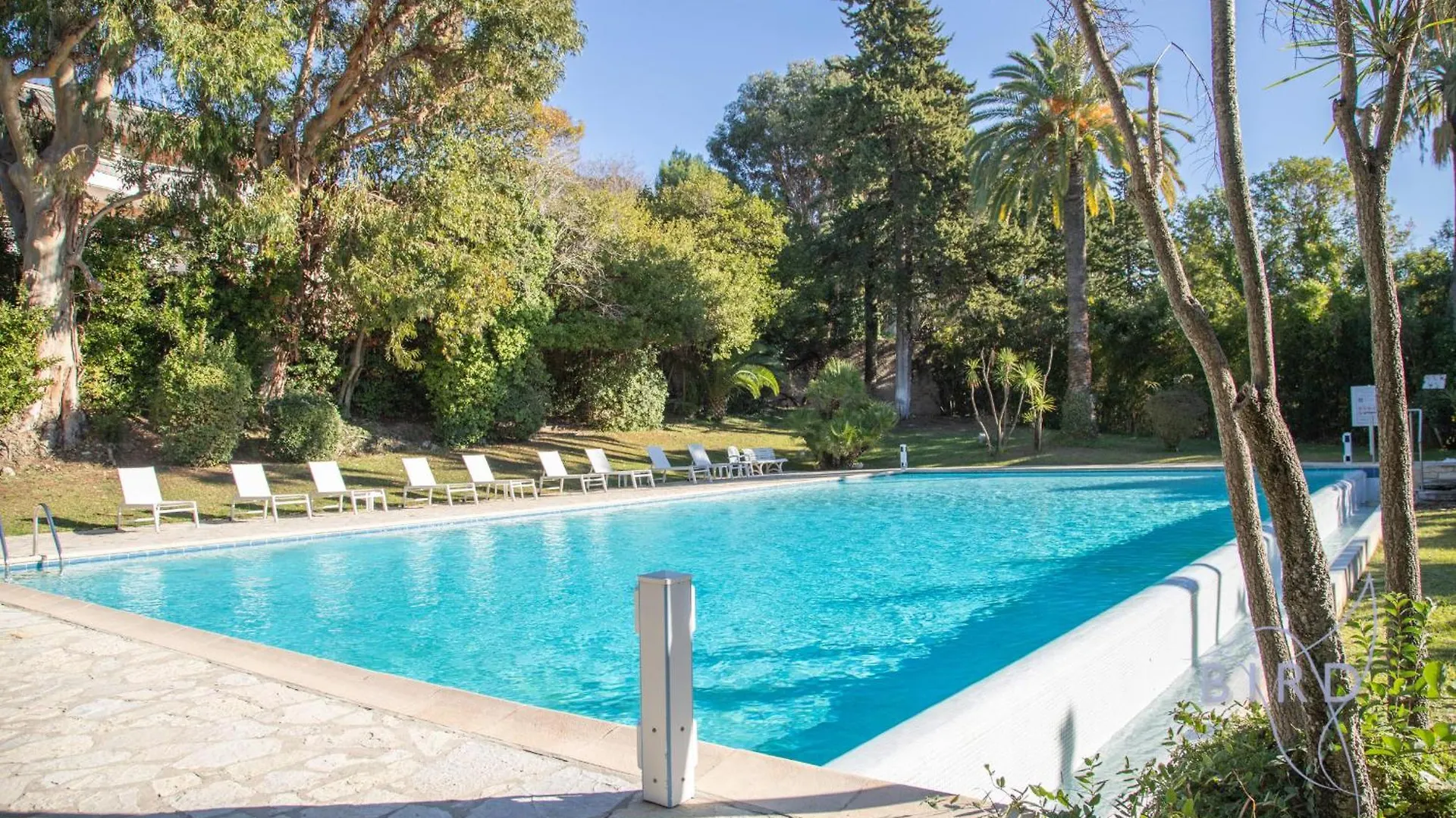 Superb Apartment With Pool Tennis & Parking contacts